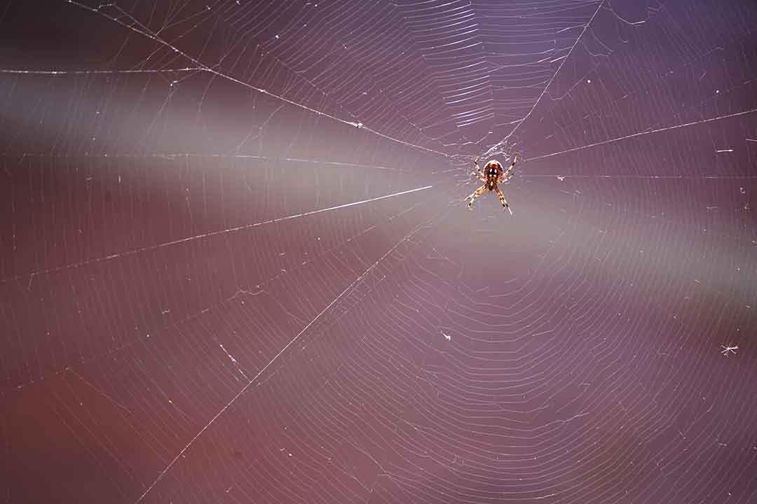 Bold Brinksmanship in Ukraine